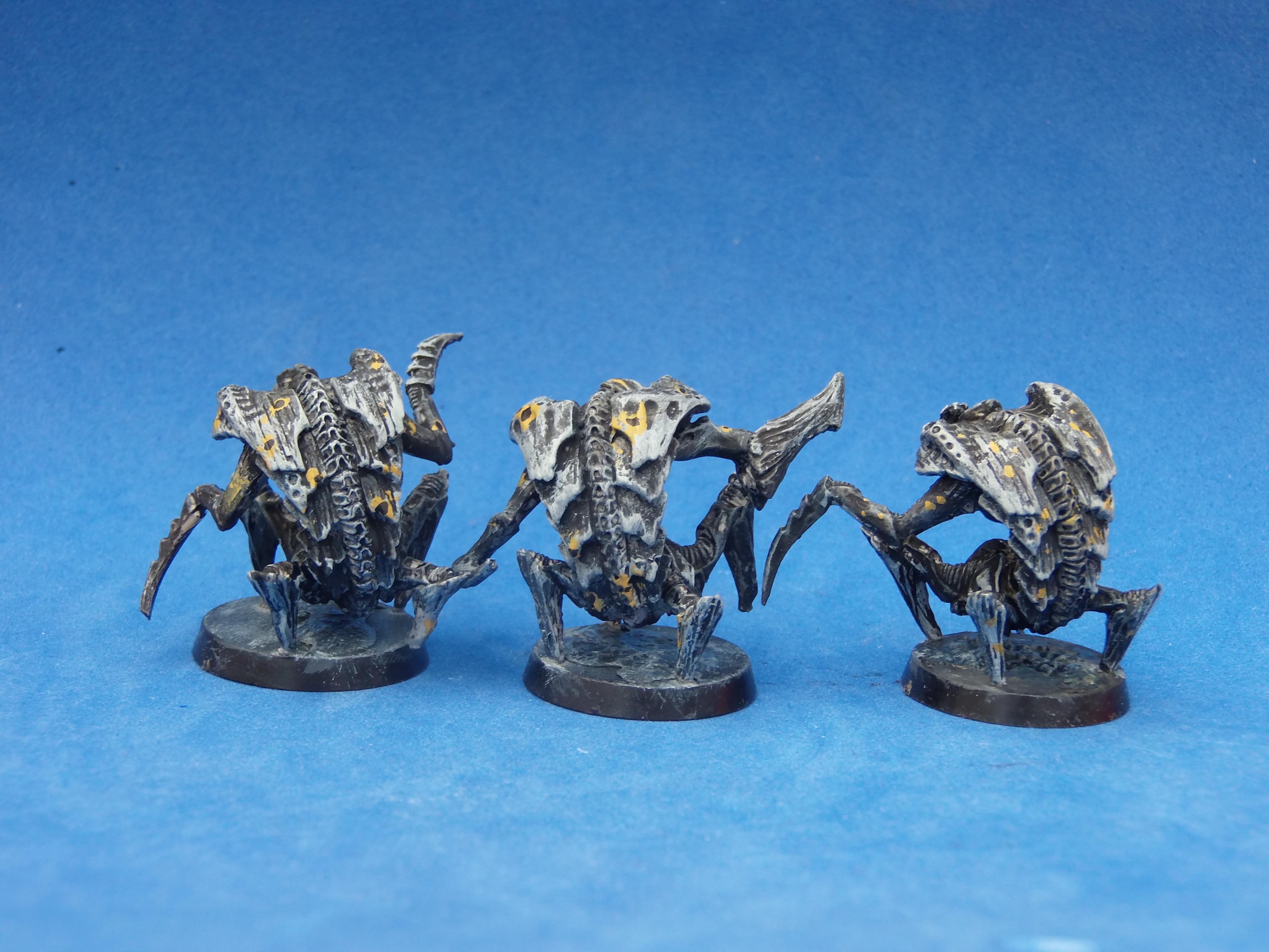 Insectoid Warriors - Insectoid Warriors - Gallery - DakkaDakka